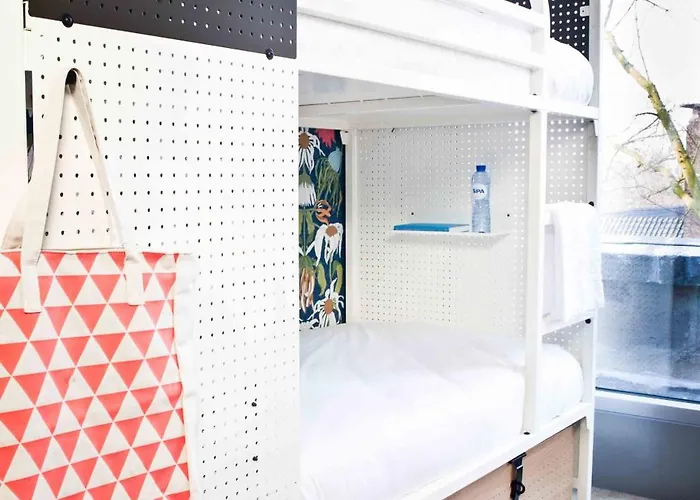 جينيريتور بيت شباب أمستردام